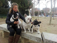Dona amb tres gossos bulldog francès en un parc.