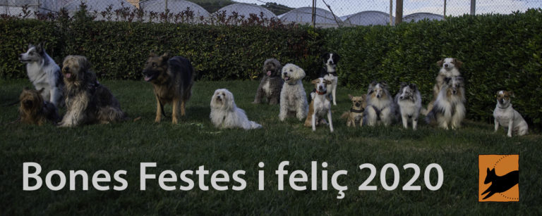 EL Cànic us desitja bones festes i feliç 2020