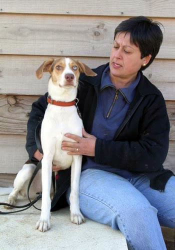 Dona asseguda acariciant un gos amb collar.