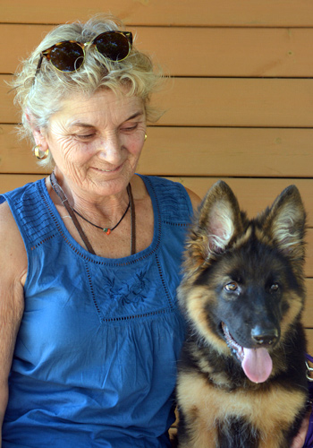 Dona gran amb gos pastor alemany jove.