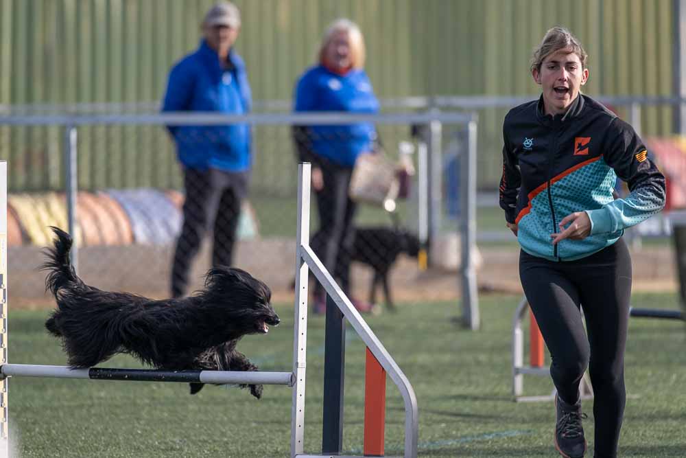 Dona i gos en competició d'agility.